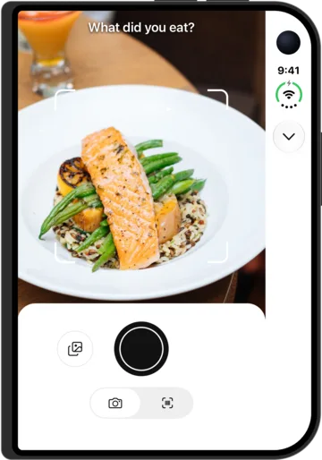 Meal photo in AI Calorie Count on the iPhone Duo