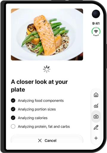 Photo analysis in AI Calorie Count on the iPhone Duo